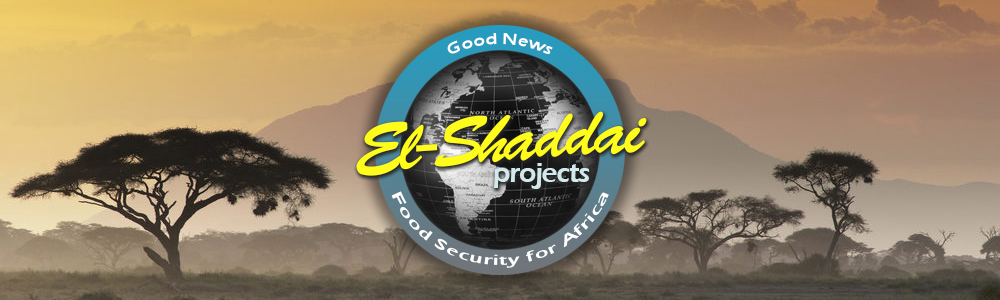 El Shaddai Projects International main banner image